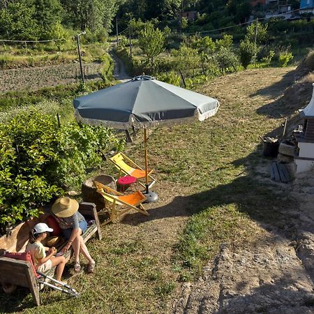 Quinta Da Peca Douro Vinhateiro 빌라레알 외부 사진