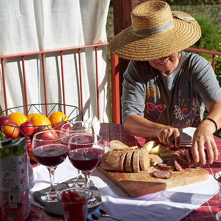 Quinta Da Peca Douro Vinhateiro 빌라레알 외부 사진