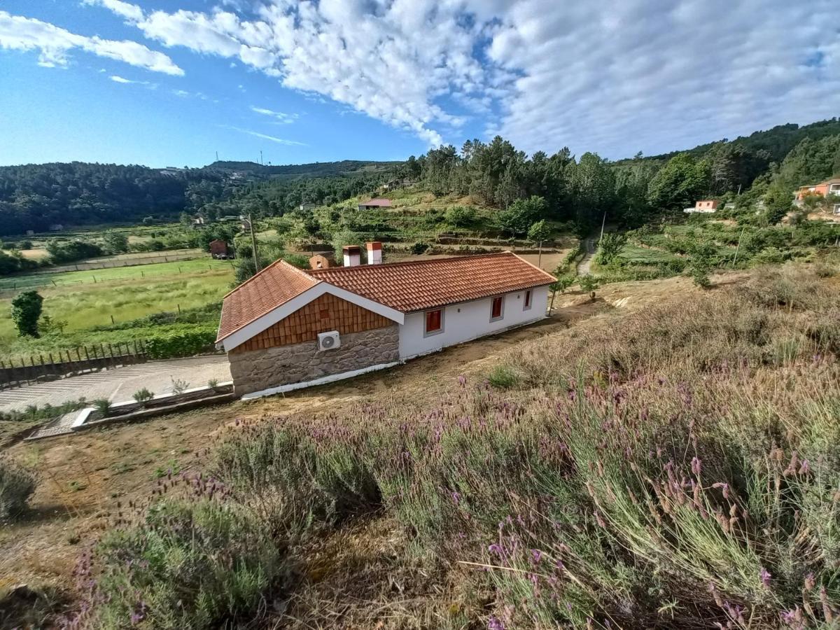 Quinta Da Peca Douro Vinhateiro 빌라레알 외부 사진