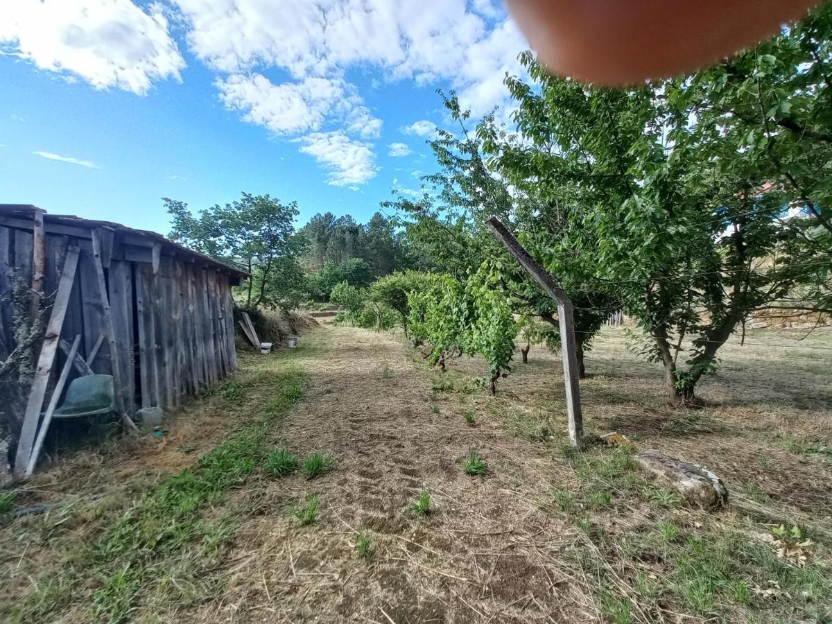 Quinta Da Peca Douro Vinhateiro 빌라레알 외부 사진