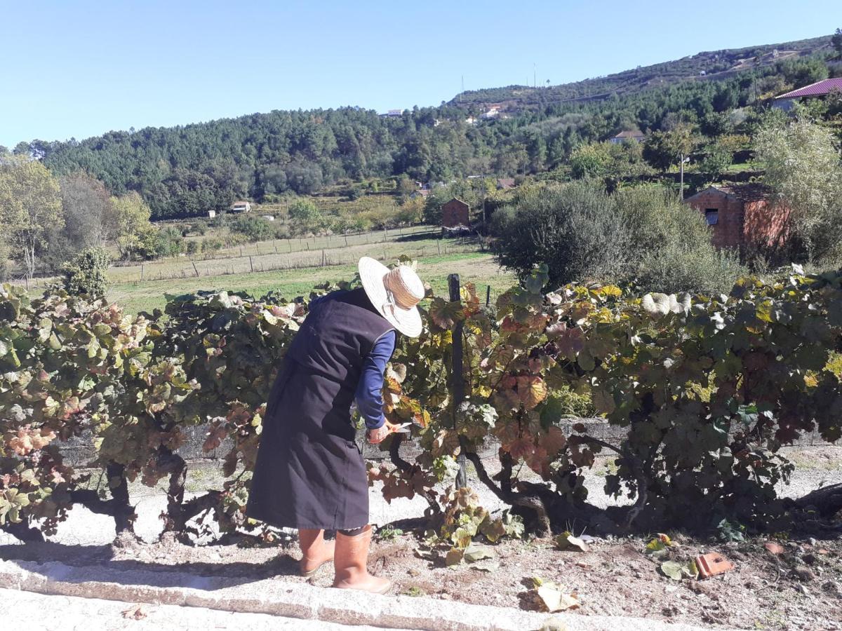 Quinta Da Peca Douro Vinhateiro 빌라레알 외부 사진