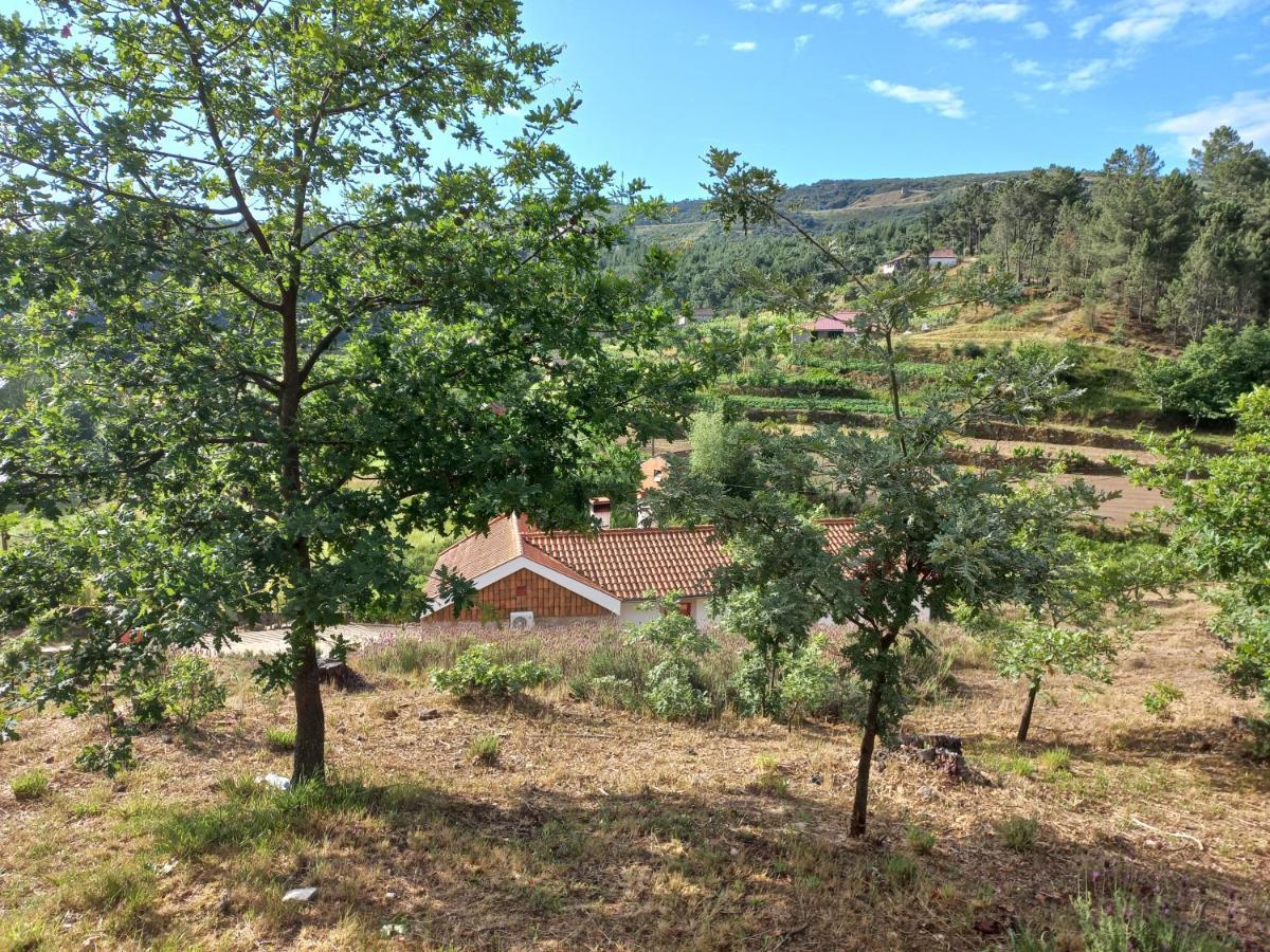 Quinta Da Peca Douro Vinhateiro 빌라레알 외부 사진