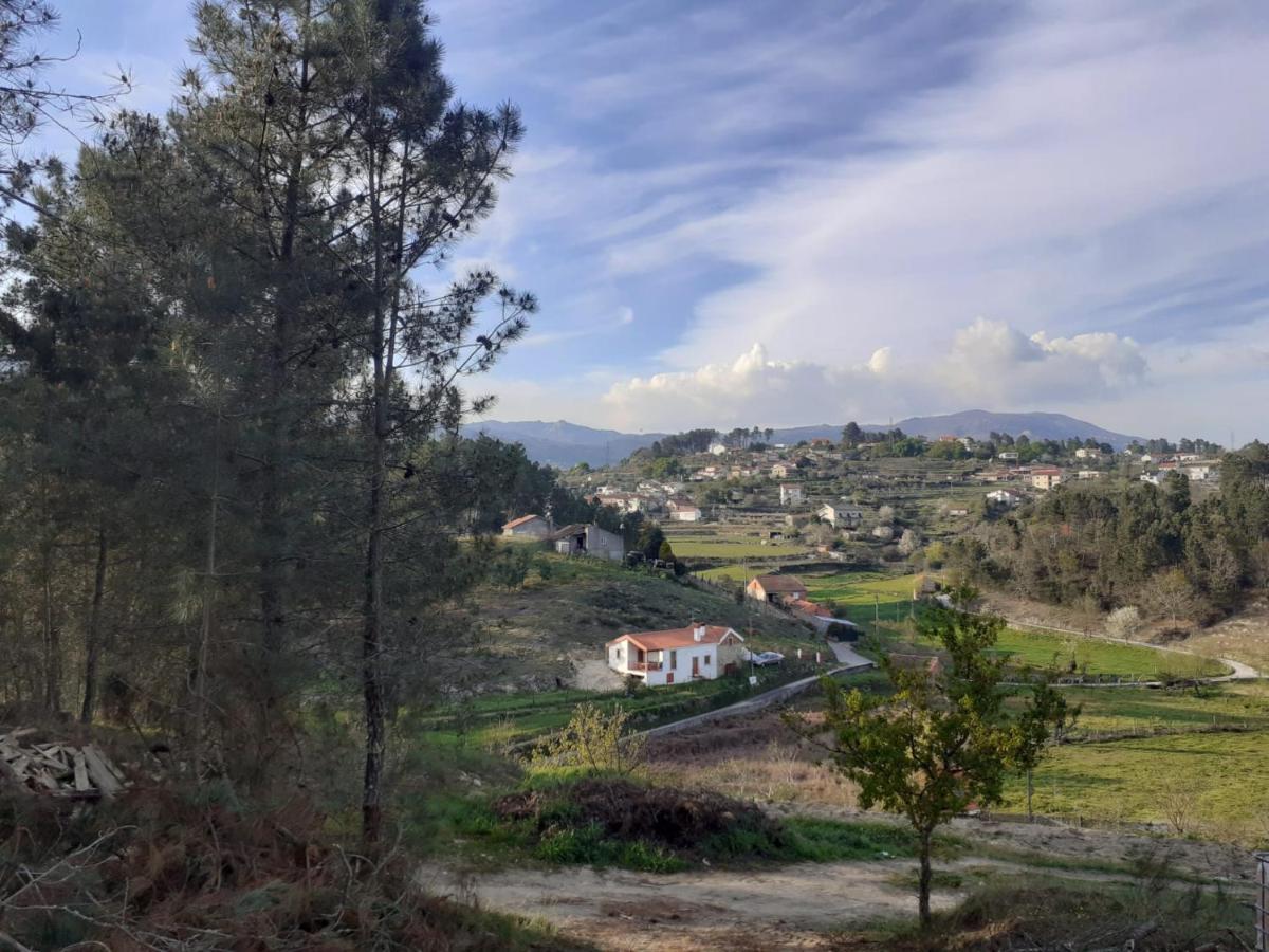 Quinta Da Peca Douro Vinhateiro 빌라레알 외부 사진