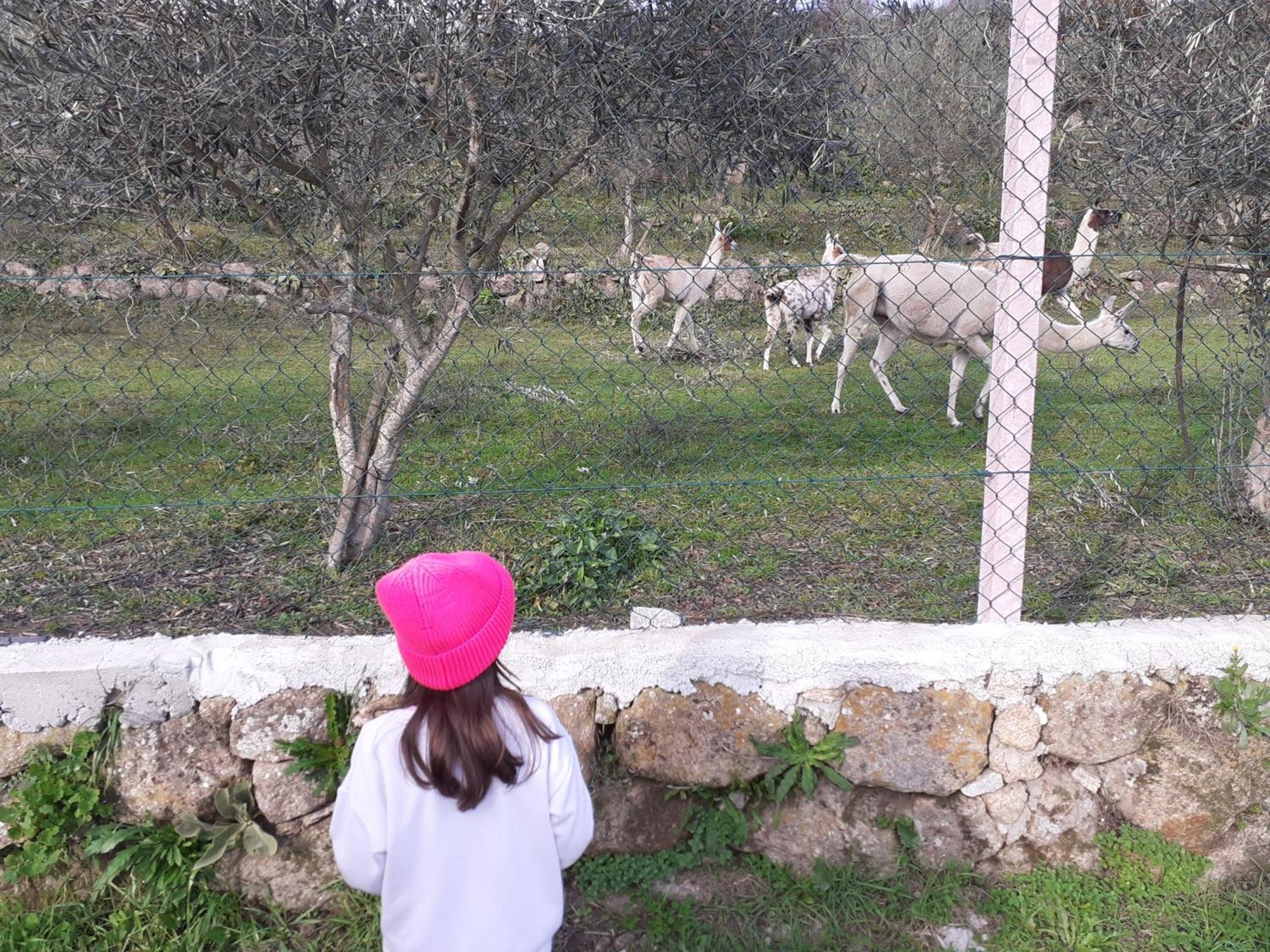 Quinta Da Peca Douro Vinhateiro 빌라레알 외부 사진