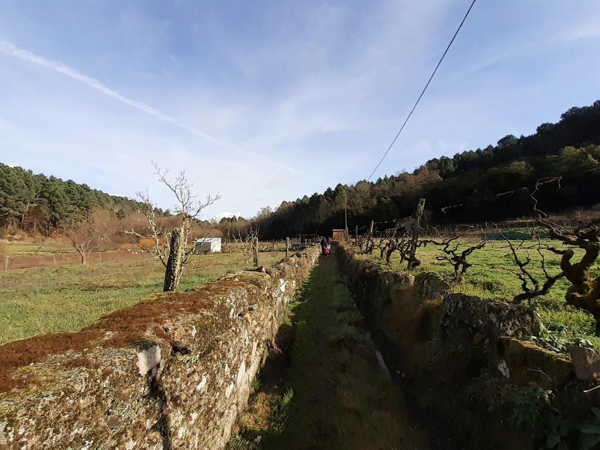 Quinta Da Peca Douro Vinhateiro 빌라레알 외부 사진