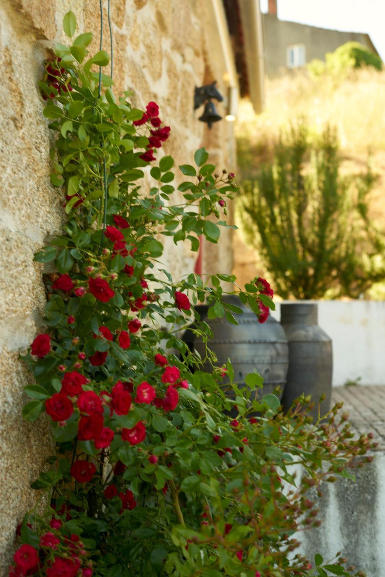 Quinta Da Peca Douro Vinhateiro 빌라레알 외부 사진