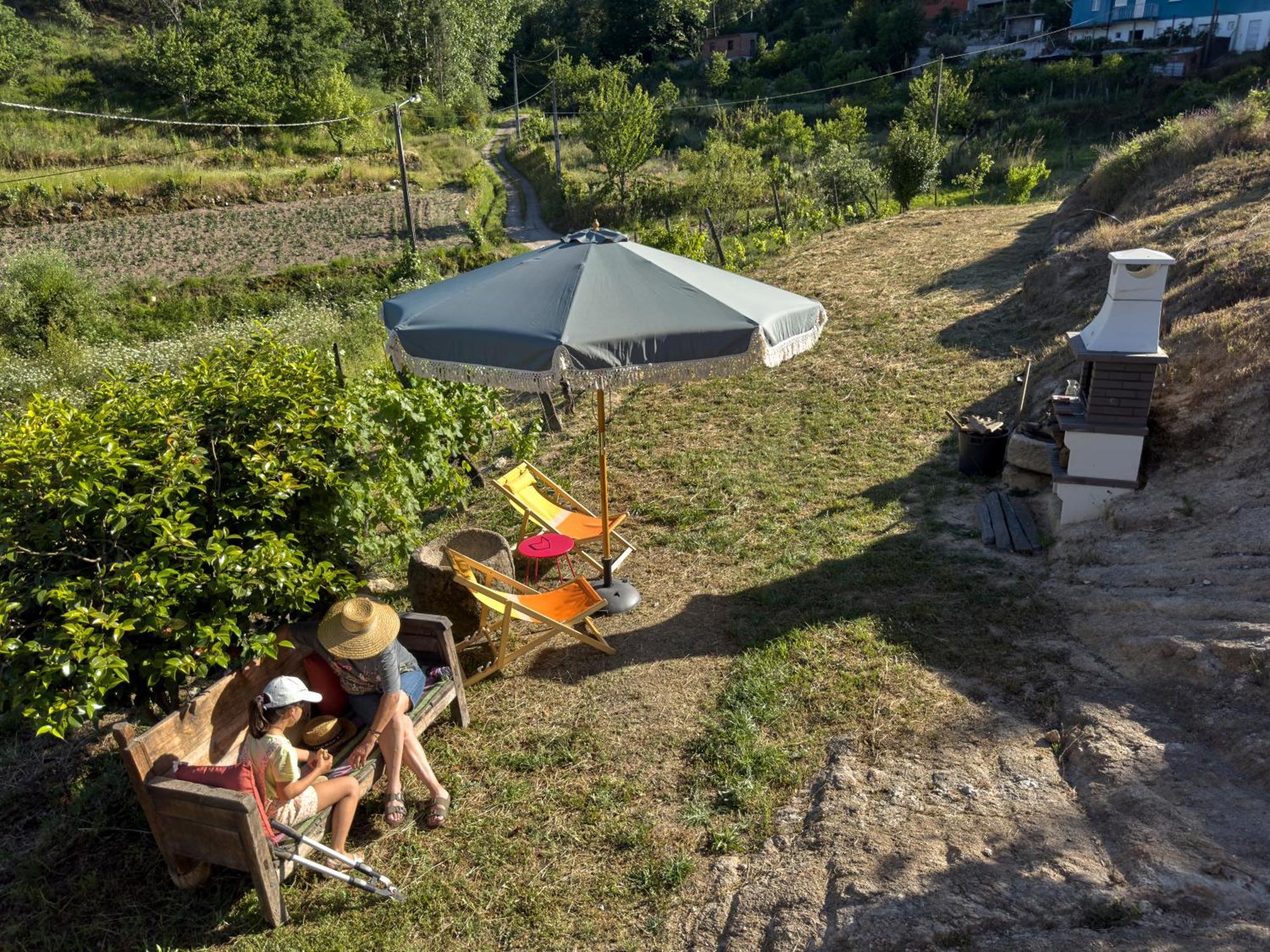 Quinta Da Peca Douro Vinhateiro 빌라레알 외부 사진